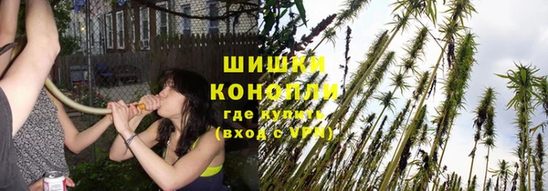винт Осинники