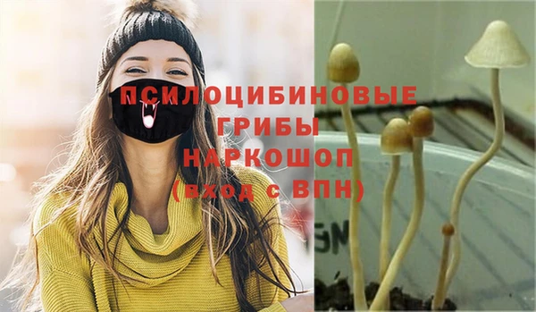 jwh Нязепетровск