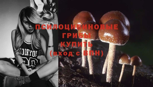 mdma Гвардейск